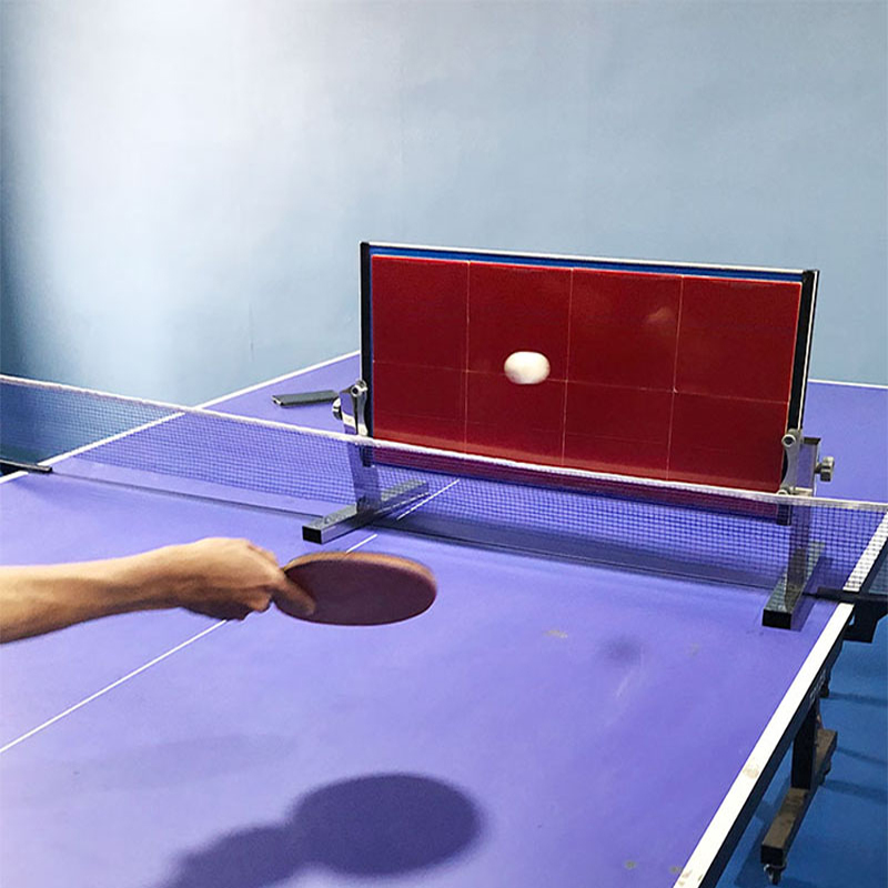 Table Tennis Player - Papan Pantul Tenis Meja untuk Latihan